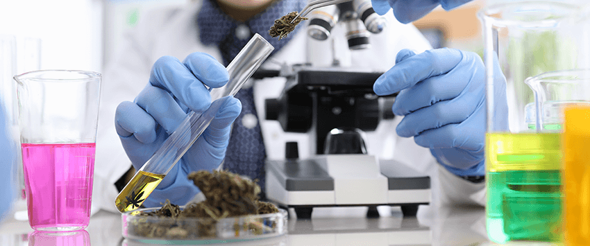 Medicinal & Laboratory Plant Sciences